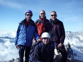 Gruppo manzi in vetta