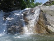 taboga famigliare, ci sta anche il cane.