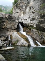 la calata dal tronco