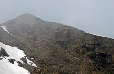 Branco di camosci verso la punta