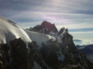 la cresta vista dalla gengiva