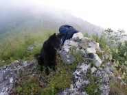 Il mio compagno di avventura