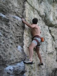 picnic a hanging roch: partito