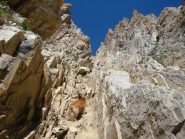 Cip nel canale di salita alla vetta