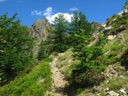 Quasi sulla costiera