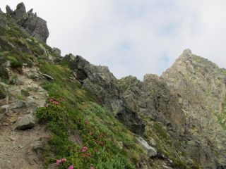 quasi al colle