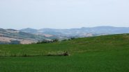 Colline romagnole...
