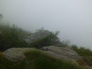 alpeggi tra le nebbie