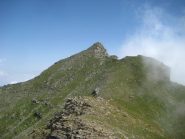 Rocca Nera dalla Gavia