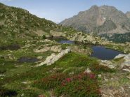 Laghetti e Maladecia