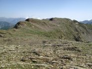 Il percorso fatto sinora