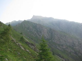 Sguardo in alto verso Cima Fer