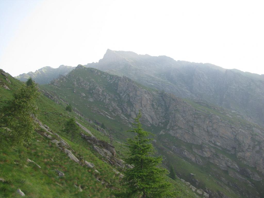 Sguardo in alto verso Cima Fer