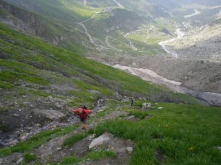 in salita sul ripido dosso erboso che conduce al colle del piccolo Ferret...
