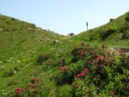 Passo Bravaria dal versante dei Bagni