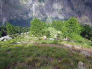 dorsale sotto il casotto