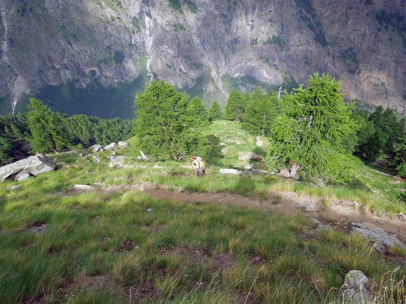 dorsale sotto il casotto