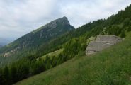 Alpe Colmine