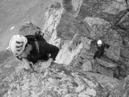 forcella tra le bifide