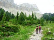 radure poco prima della malga, sullo sfondo la Seceda