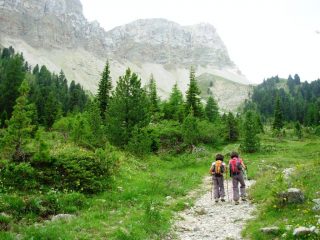 radure poco prima della malga, sullo sfondo la Seceda