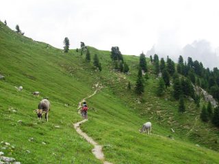 sentiero di raccordo col rifugio