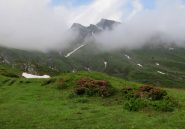 Gran Guglia tra le nebbie.