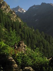 vista sulla torre del gran san pietro dall'alpe piandetta sup