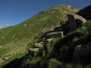 punta del carro