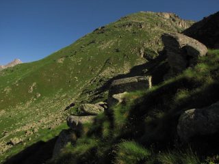 punta del carro