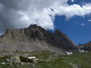 la cresta nella sua integralità