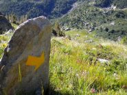 esmpio di freccia quasi onnipresente