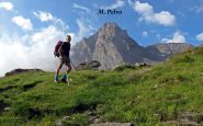 Bella veduta sul M. Pelvo