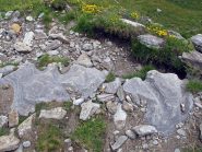 Il lavoro dell'acqua