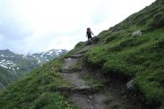 Enrico sale i ripidi pendii erbosi che portano al Piano del Vaudet (8-7-2012)