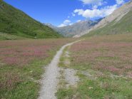 La piana del Vallone di Soustra