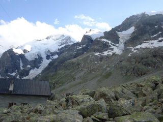Bernina e Morteratsch dalla Boval
