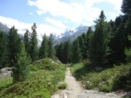 L'inizio del sentiero verso la Boval