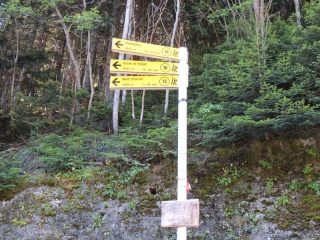 inizio percorso