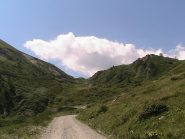 Quasi arrivato al Colle delle Finestre