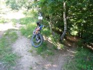 Quota 1250 uscita dal bosco