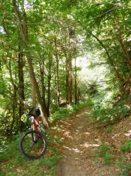 Sentiero oltre quota 1000