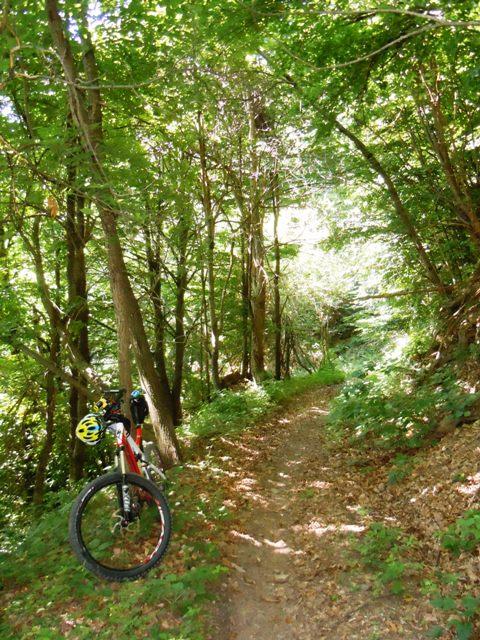 Sentiero oltre quota 1000