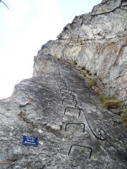 scala bionica
