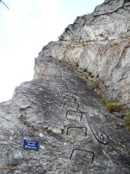 scala bionica