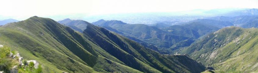 Panorama 