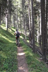 sulla variante GR58 che riporta a Bramousse