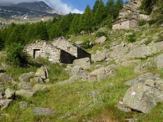 alpi le rive