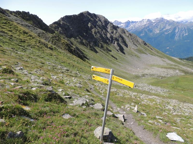 bivio del col Fetita