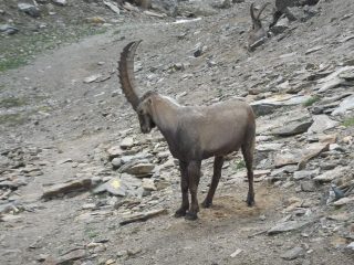 Incontri, per chi scegliere di salire a piedi.